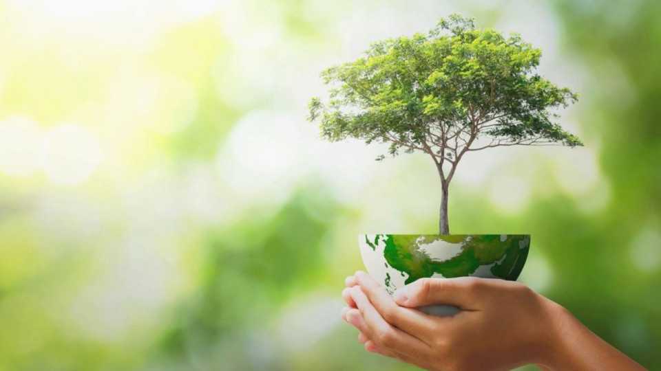 Повідомлення про оприлюднення заяви про визначення обсягу стратегічної екологічної оцінки містобудівної документації