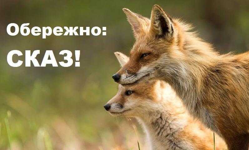 Небезпечність сказу для тварин  та людей.